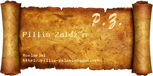 Pillis Zalán névjegykártya